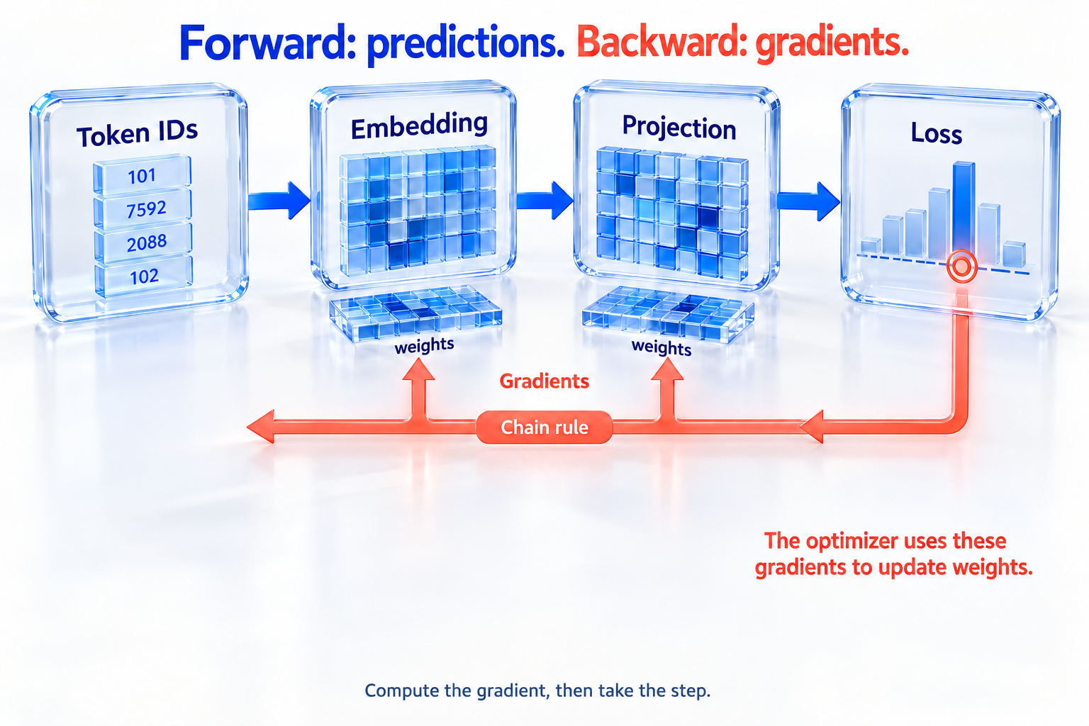 Forward computation creates predictions and loss. The chain rule propagates gradients backward to embedding and projection weights; an optimizer then uses them to update weights.